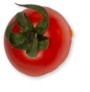 Abbildung einer überreifen Tomate von oben