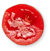 Abbildung einer aufgeschnittenen Tomate von oben